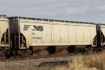 NS 298062